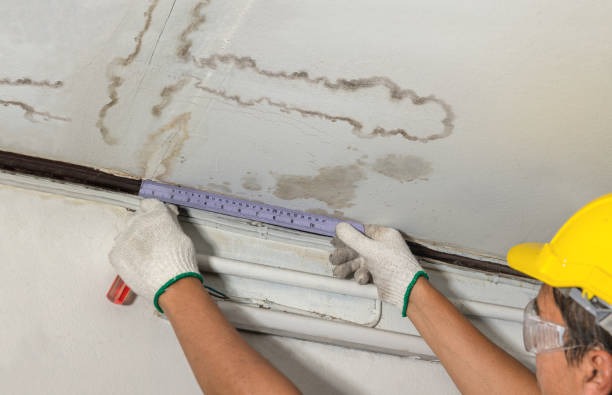 Reliable Structural Drying contractor in Livingston, IL by Water Damage Irwin